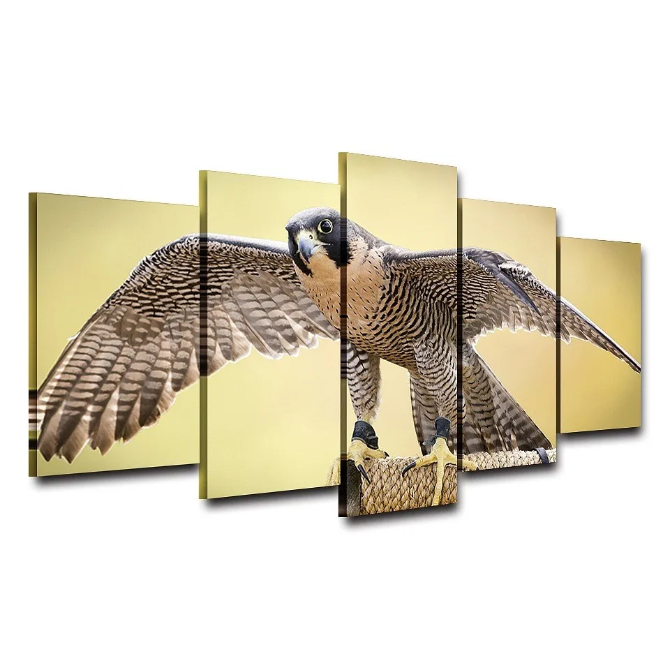 HTB1Y51iOVXXXXasXXXXq6xXFXXX1