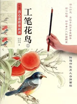 

Chinese color gongbi line drawing painting book flower bird Paintings for beginners Chinese coloring fine brushwork art book