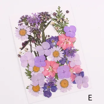 

Pressed Flower Mixed Organic Natural Dried Flowers DIY Art Floral Decors Collection Gift FP8