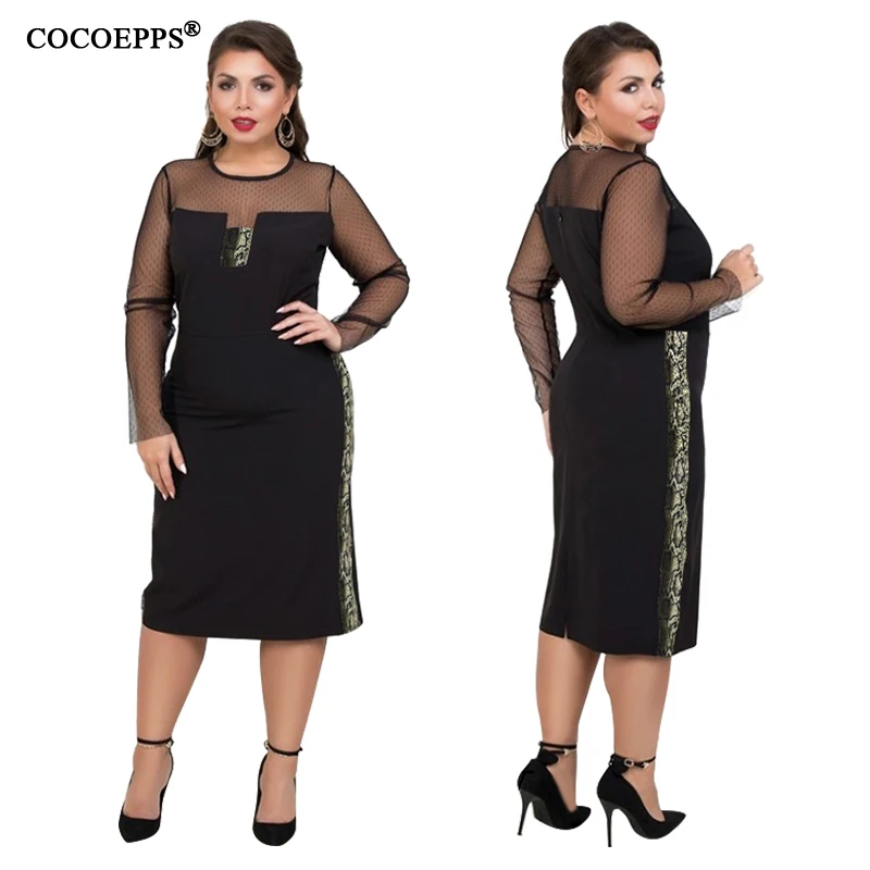 COCOEPPS  7