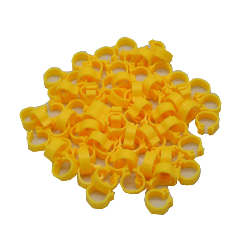 Pigeons Rings 8mm Bayonet Identification Ring Opening Pigeon Ring Color Pigeon Foot Ring Pigeon Supplies Bird Appliances 100 Pcs - Image 5