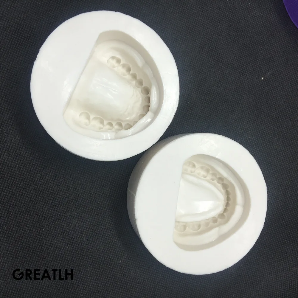 2pc/set Dental Plaster Model Mold Mould of Edentulous Jaw Complete