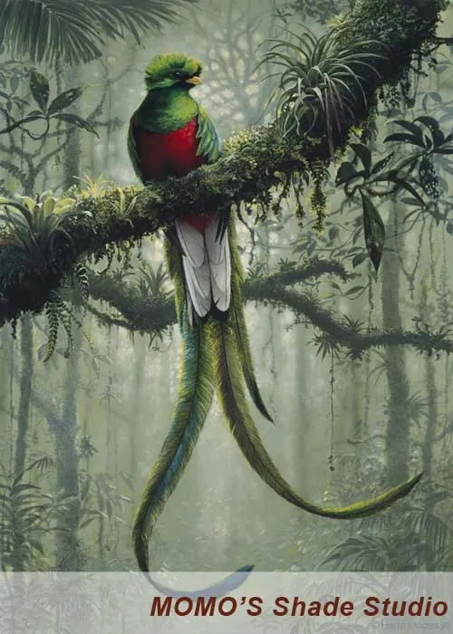 PRB 99-500