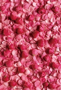 

HUA Art fabric photography rose bed backdrop 5x7ft XT1304