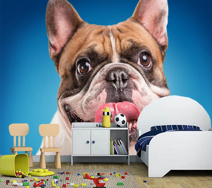 Papel De Parede Dogs Bulldog Snout Tongue Animals Photo Wallpaper