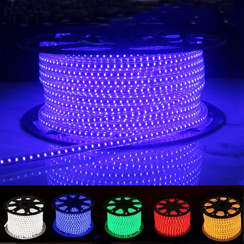 Buy high brightness Waterproof LED Strip light AC220V