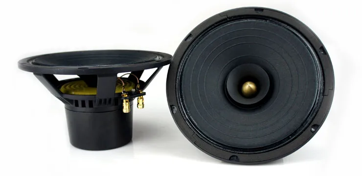 

Aucharm P-810S 8'' High End Full-Range Speaker Component Alnico Magnet Mixed Paper Cone 8ohm 36W