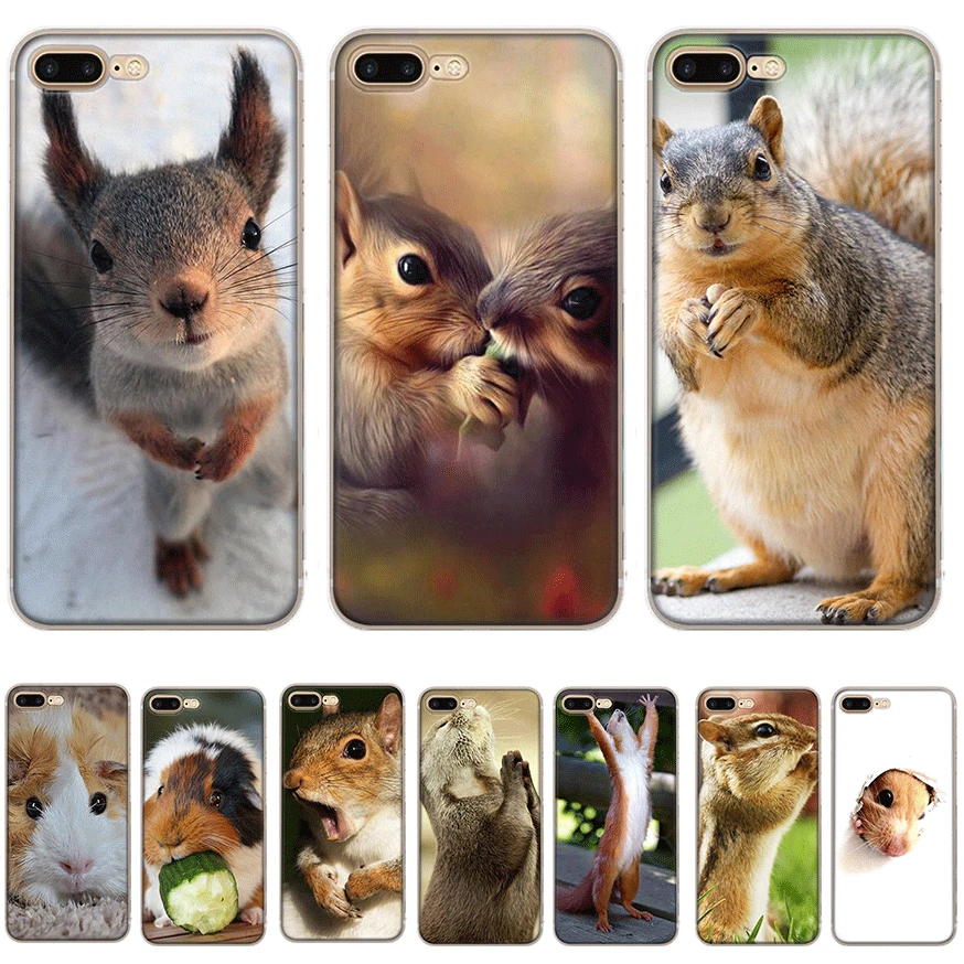 Squirrel iphone 11 case Squirrel iphone 11 case
