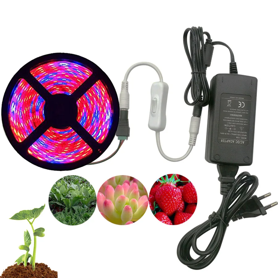 

5M Waterproof LED Plant Light with Adapter & Switch Phyto Lamps LED Strip Growing Light for Plants Hydroponic Greenhouse