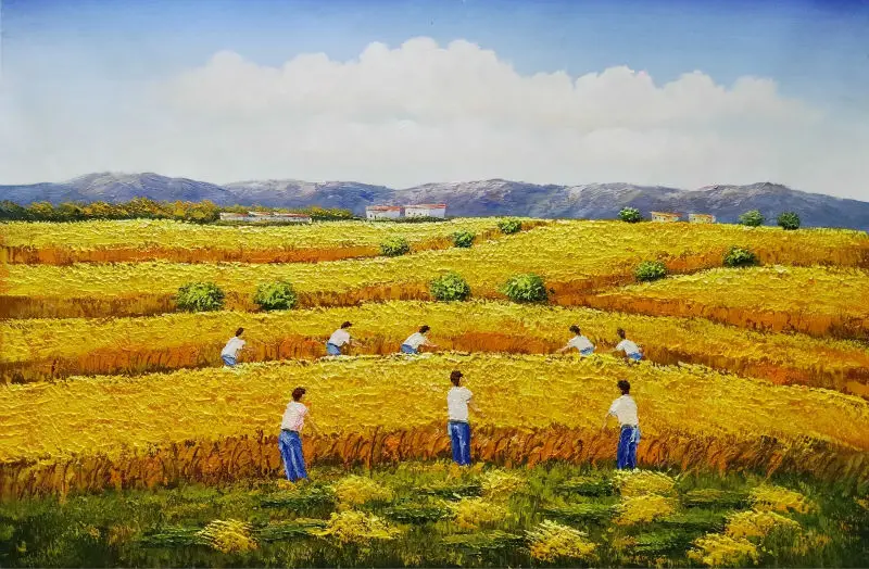 C60x90cm (1056)