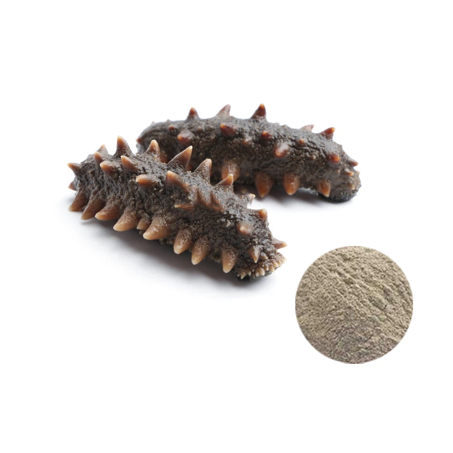 

100% Pure Natural Sea Cucumber Peptide Extract Skin Whitening Anti-aging Rejuvenation Marine Collagen Powder Eliminate Fatigue