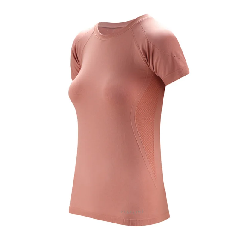 TS029 (1)