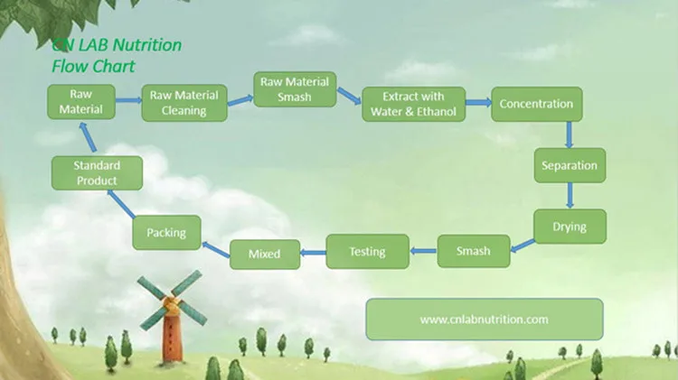Powder Flow Chart2.jpg