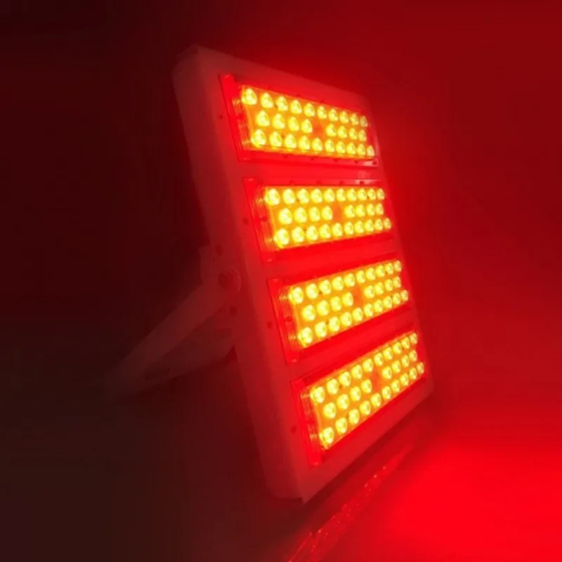 800 (2)_
