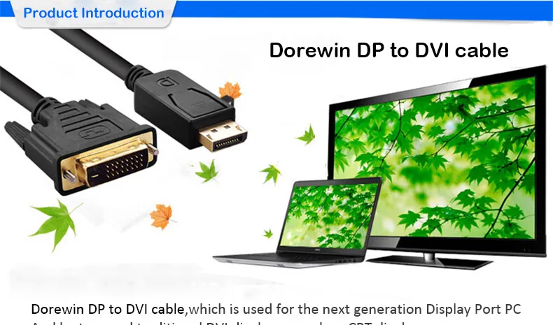 dpdvi2_01