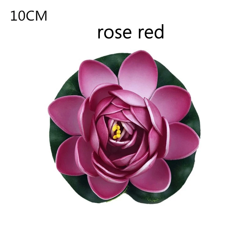10cm (1)