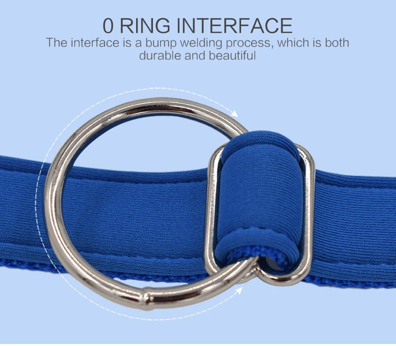 4 dog leash and collar set 