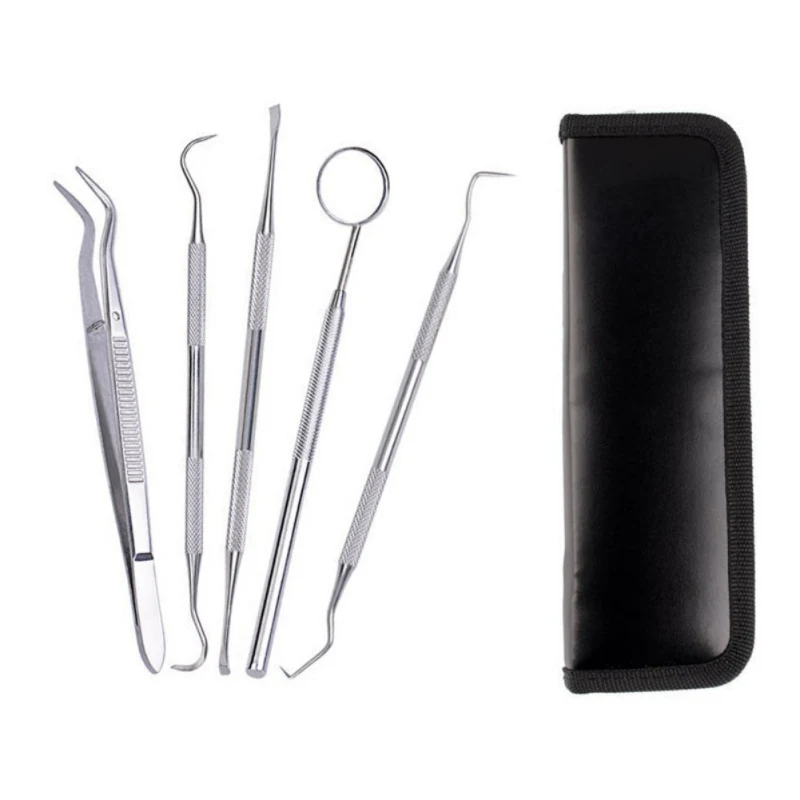 

Recommend Professional Stainless Steel Dental Tools Dentist Teeth Clean Hygiene Explorer Probe Hook Teeth Care Kits Makeup 5pcs