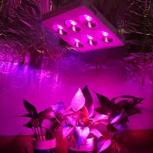 Populargrow Высокая мощность 1200 Вт COB полный спектр Led светать с 90 градусов Refletor чашка для медицинские растения максимальный выход