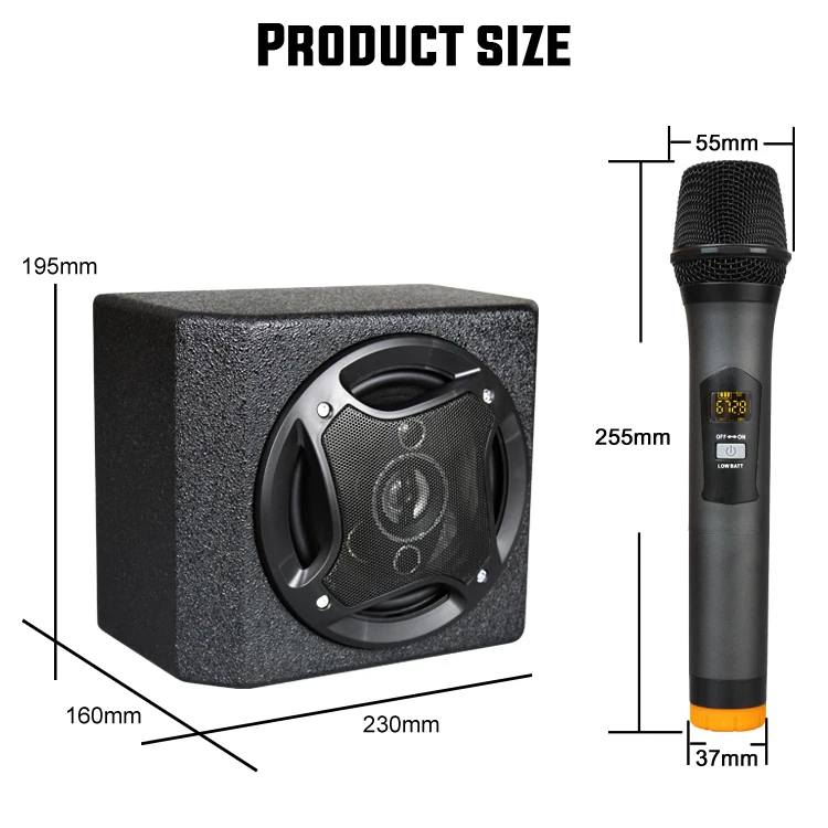 B18 портативный PA динамик с Bluetooth беспроводной микрофон для Dj Караоке часть a solo