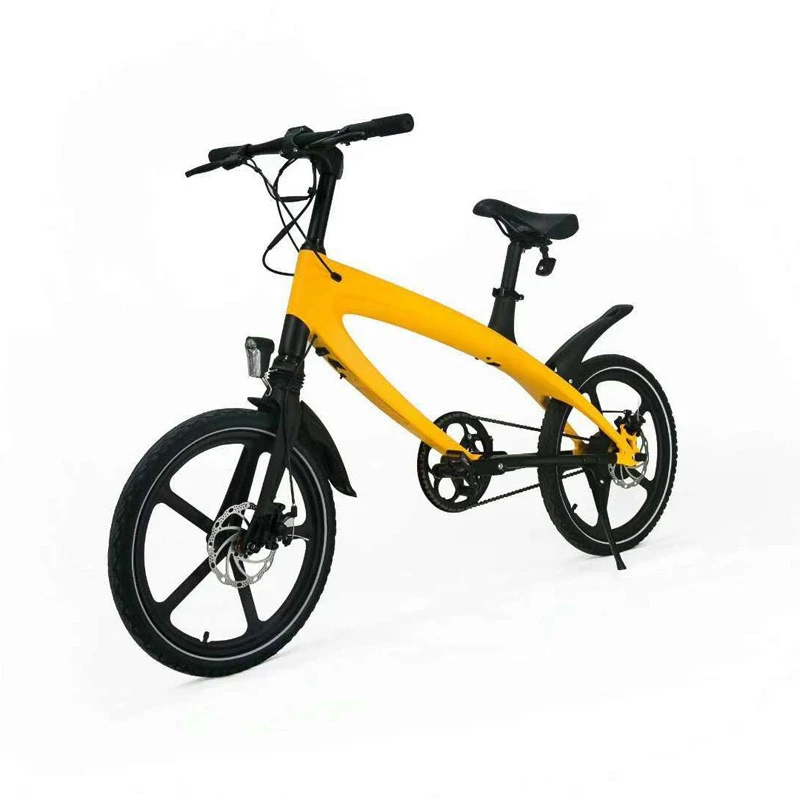 Best Electric Bike 36V 250w Cycle 5.4AH  Lithium Battery Electric Bicycle Front and Back Disc Brake Ebike With Bluetooth Speaker 1