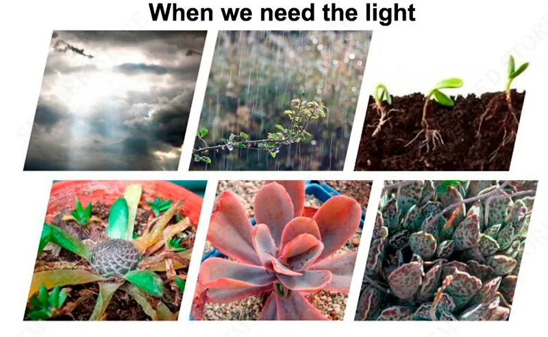 1 Plant grow T8 LED Tube lamps lights lightings 09