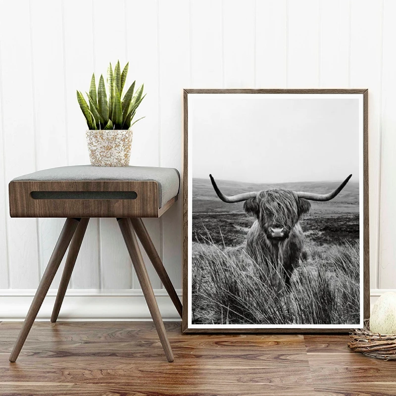 Highland Cow Canvas Art Picture Home Decoration