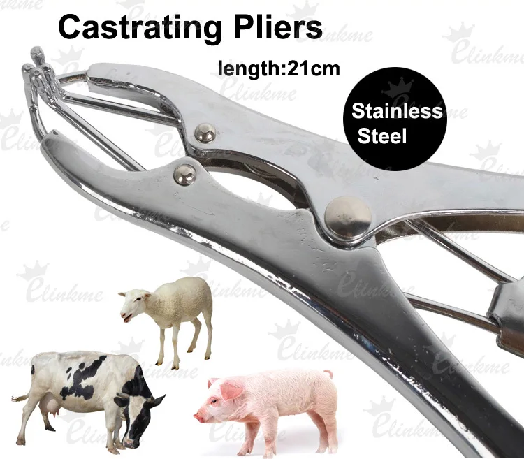 

1pcs Stainless Steel Castrating Pliers + 50pcs Rubber Ring Applicator pig cow sheep plier Veterinary,free shipping