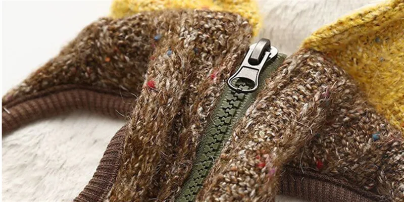dog winter clothes (6)