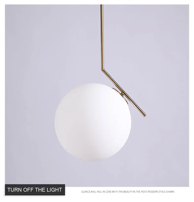 pendant lamp (11)