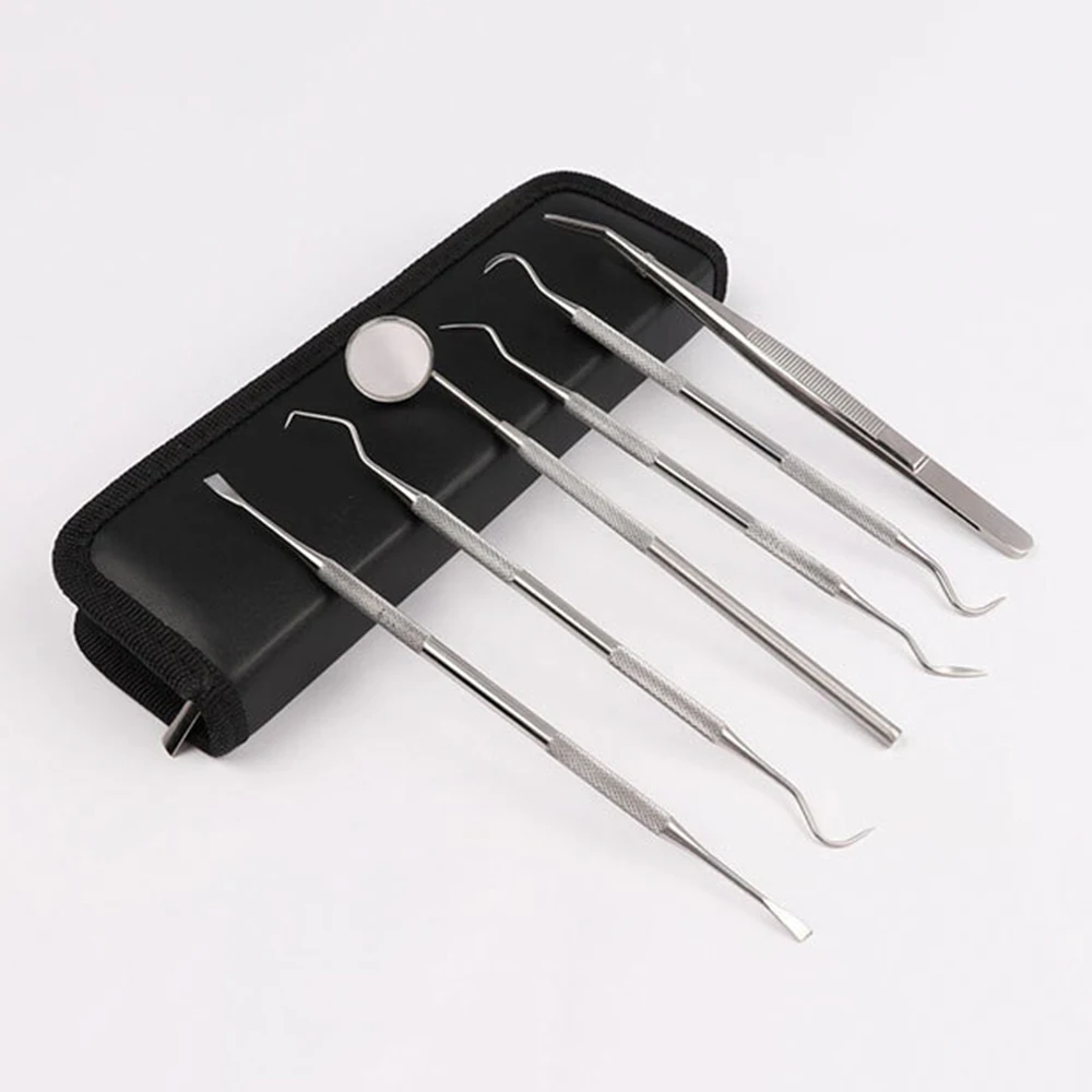 6pcs Pro Dental Tooth Pick Probe Set Kit Teeth Clean Hygiene Tools