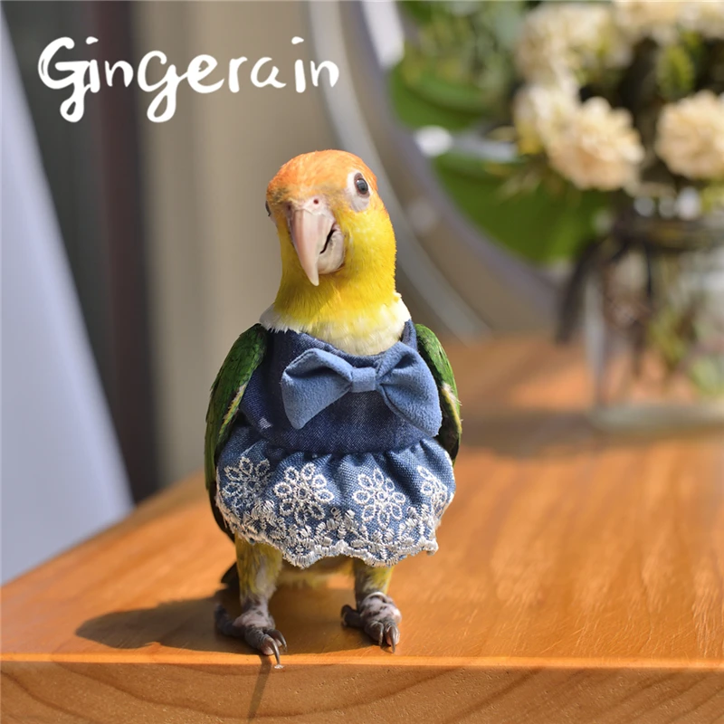Gingerain одежда с птицами и попугаями оригинальная кружевная юбка пачка ручной
