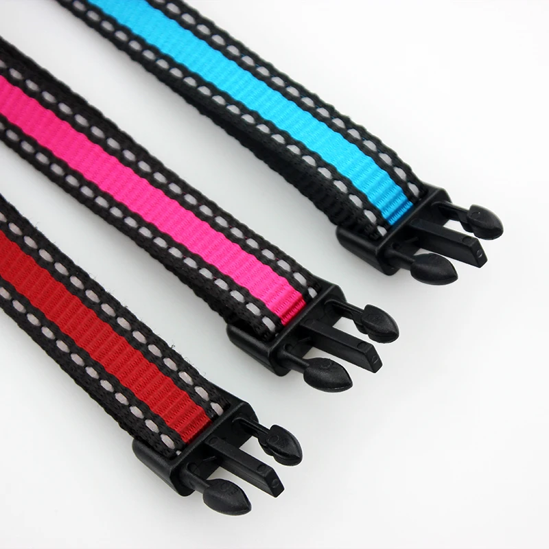 dog collar 5