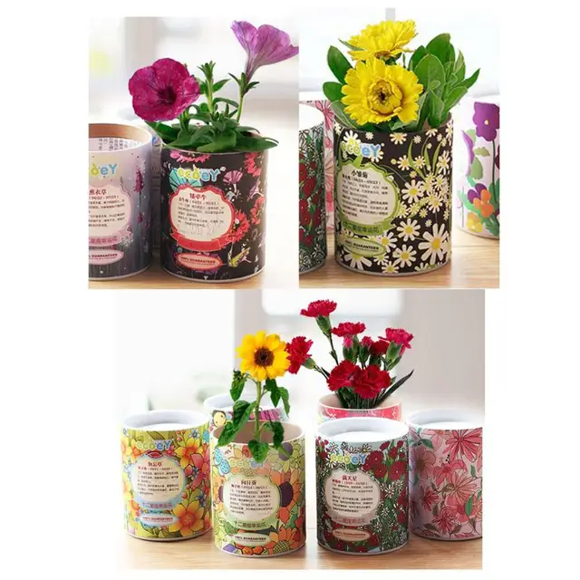 Online Flower Nursery Potting Fiber Container Constellation Flower Nursery Potting Fiber Container Constellation Flowers And Plants Desktop Ecological Small Garden Office Planting