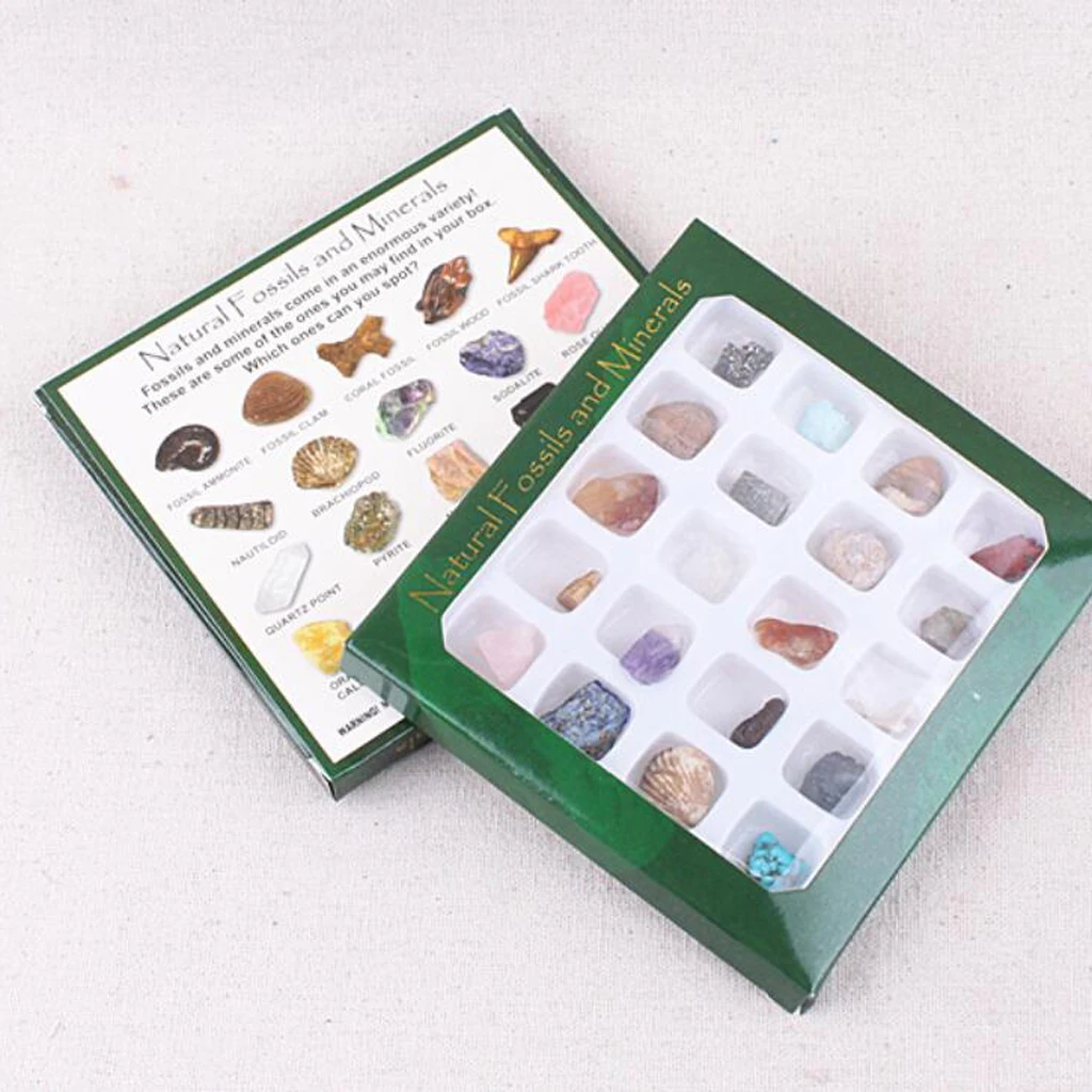 Rock & Mineral Collection GN201 Geology Science Kit Earth Science Toy - Pack Of 20