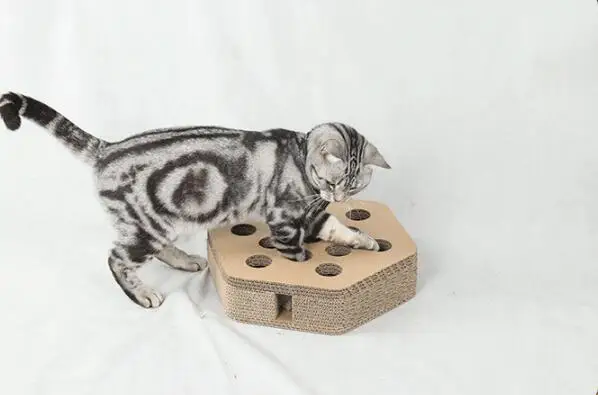 

x 2PCS HEXA shape Cat Scratcher Fat Cat Bed Cardboard Paper High Quality Scratching Pad with funny toys