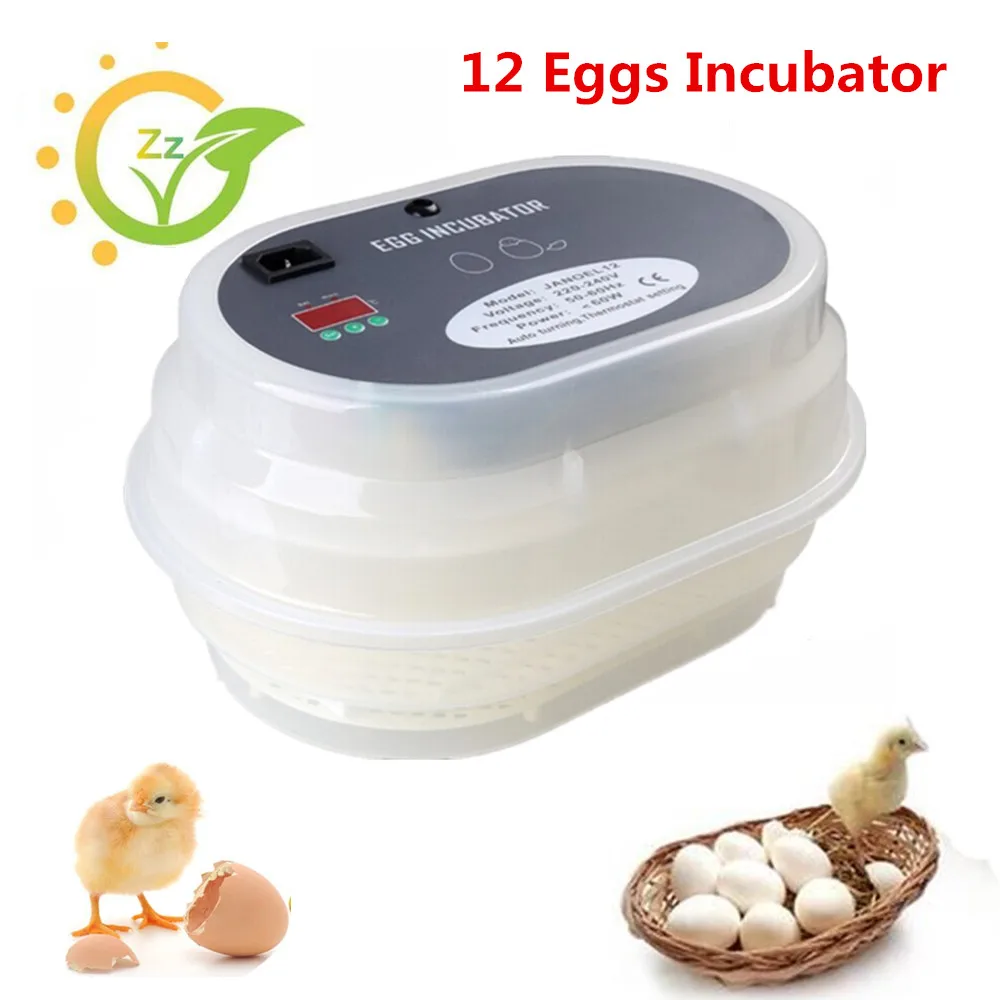 

Mini 12 Eggs Incubator Digital Auto Eggs Turning Hatcher with Temperature Control Poultry Hatching Machine Equipment