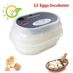 Мини 12 яиц инкубатор цифровой авто яйца поворота Хэтчер с Контроль температуры птицы, Инкубационных Машина Оборудования