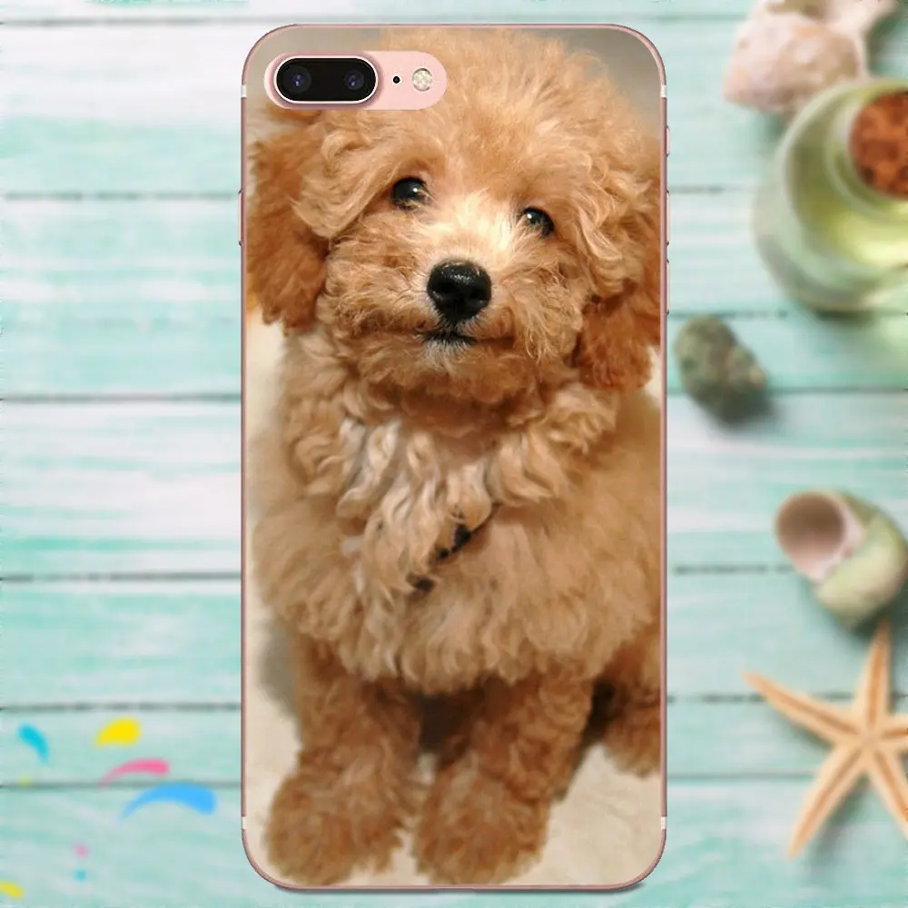 Чехол из ТПУ для Huawei P8 P9 P10 P20 P30 Mate 7 8 9 10 20 Lite Plus Pro 2017 Игрушка Пудель Собака