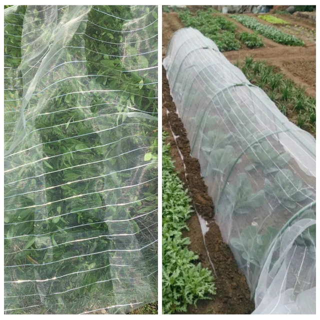 40 メッシュナイロン植物ネット果樹カバー野菜保護ネット抗鳥ガーデン昆虫ネット植物カバー 通販