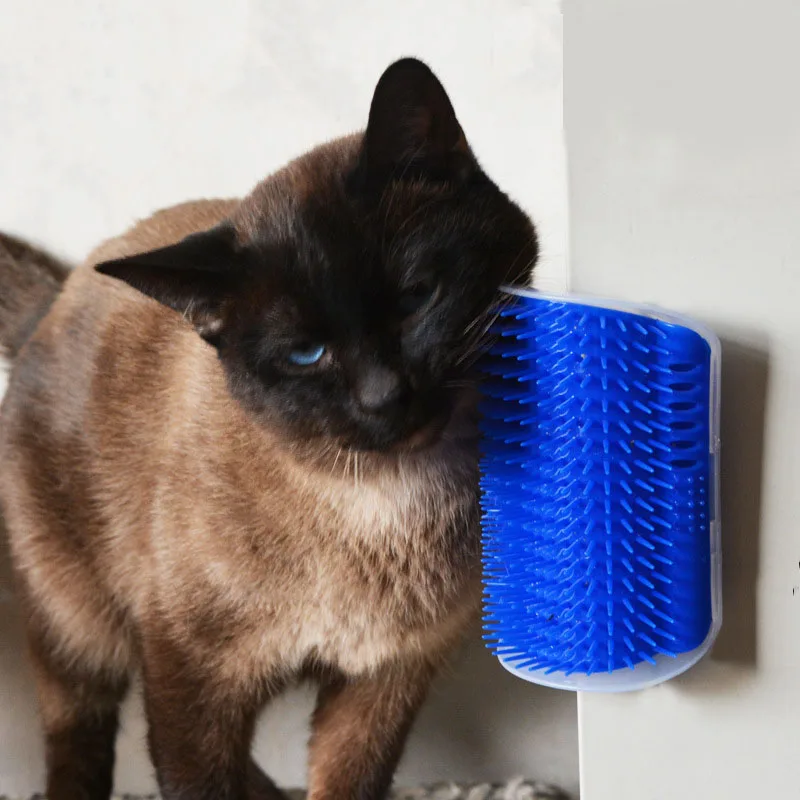 Cat Corner Cat Corner