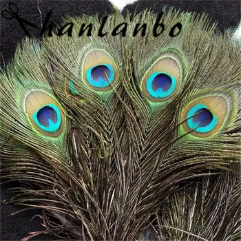 

Natural Peacock Feathers 10-12'' 25-30cm 500pcs/lot Party mask decoration home
