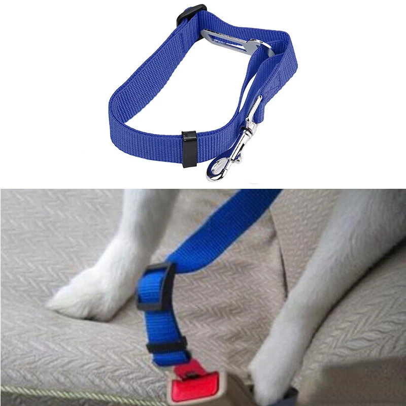 red white and blue dog harness