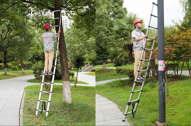 16 steps Home folding double ladder
