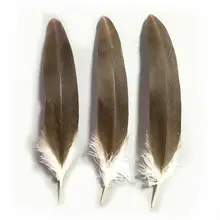 Buy Eagle Feathers And Get Free Shipping On Aliexpress