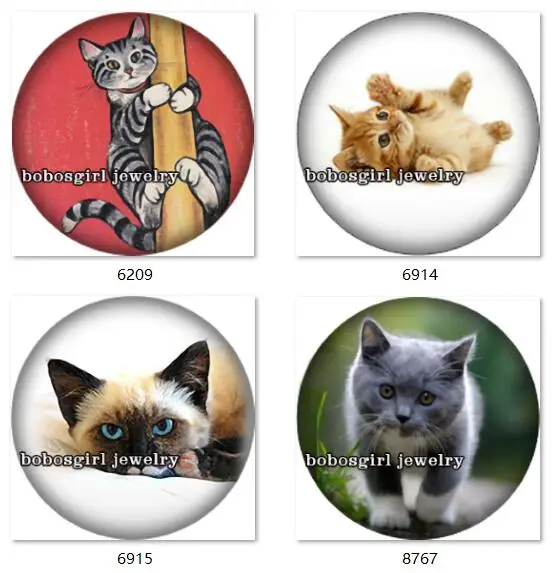 

SN1020 cat snap button Jewelry Charm photo glass cabochon