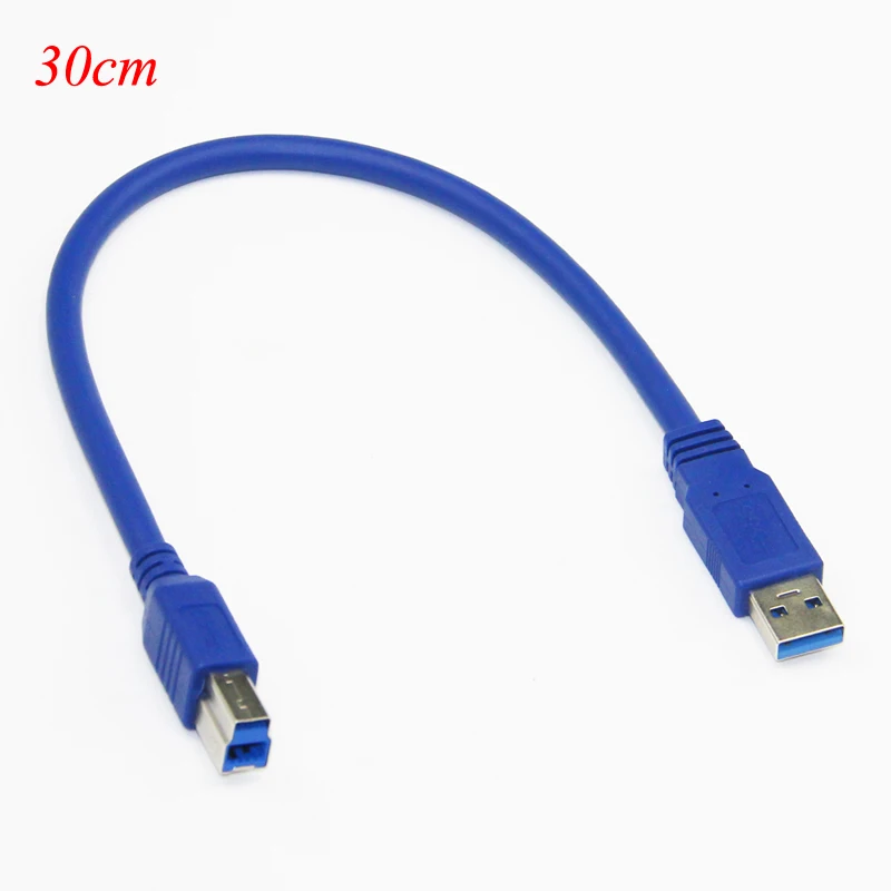 10243.1