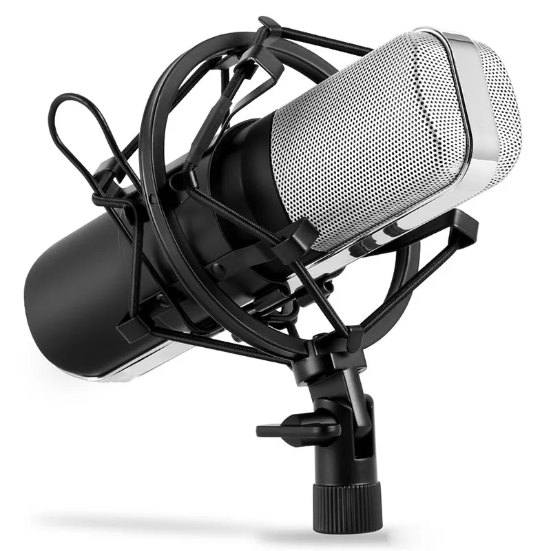 

Newly Professional Condenser Microphone Studio Broadcasting Mic with Mount for PC Desktop Karaoke