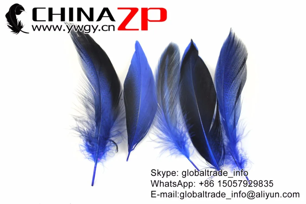 Fluffy Mallard Duck Flank Plumage Feathers Royal Blue (4)