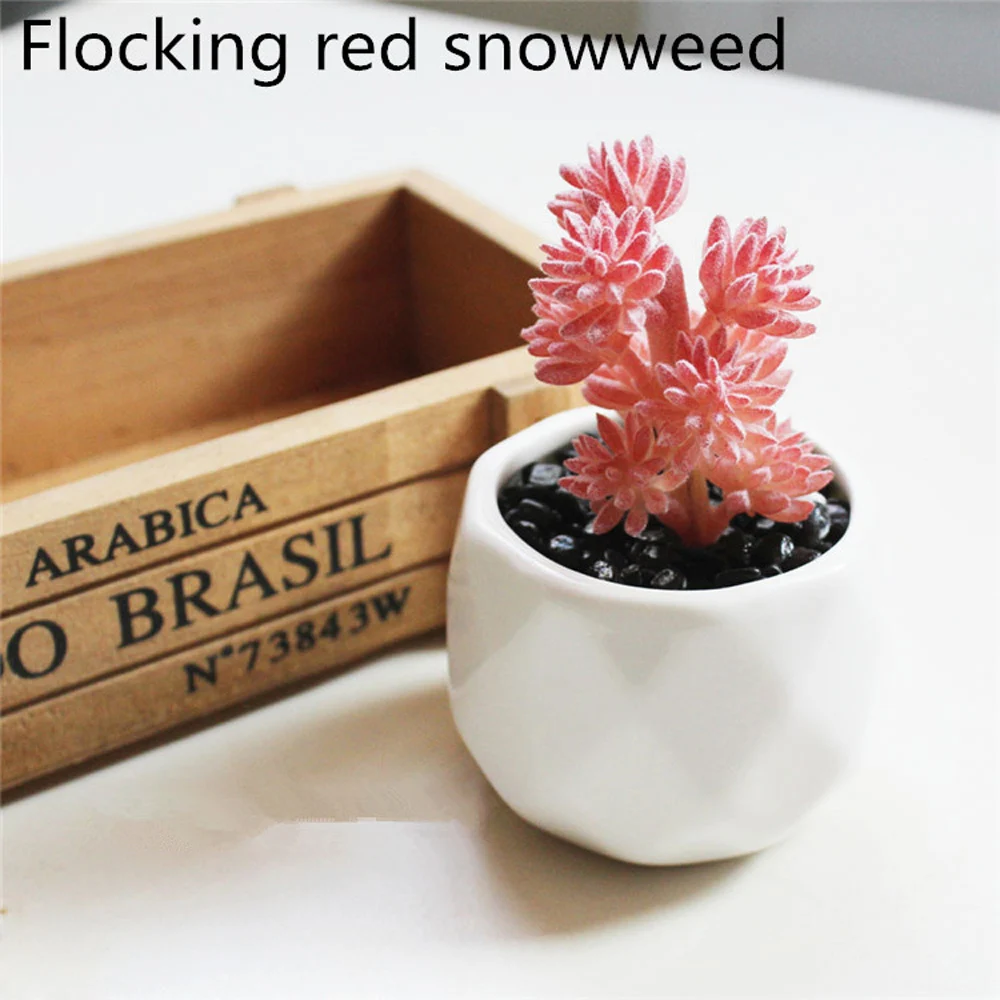 6_5cdb7ee08c0f8.jpg